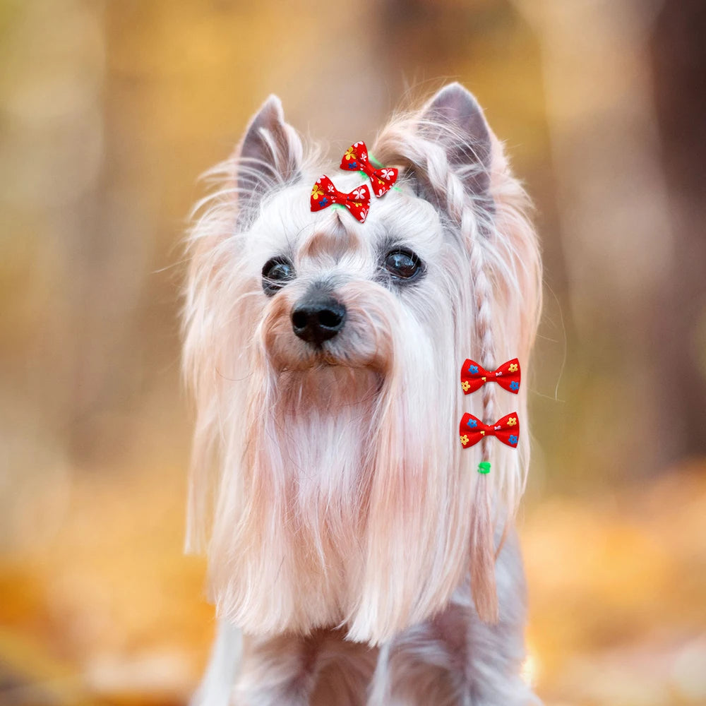 Pet Hair Bows with Rubber Bands - Assorted Styles for Small Dogs and Cats
