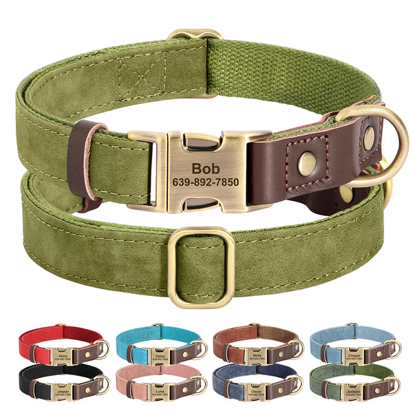 Collier en cuir personnalisé pour chien avec plaque d'identité