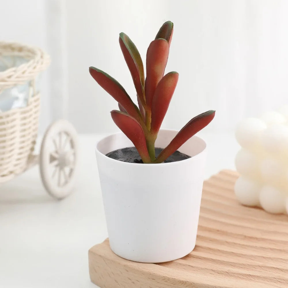 A small, reddish-brown artificial cactus succulent bonsai plant in a white ceramic pot sitting on a wooden surface.