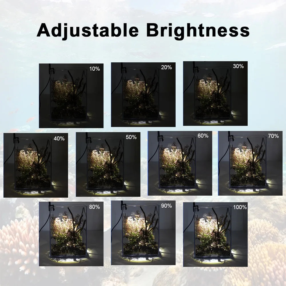 A series of images showing an adjustable brightness scale for a slim clip-on LED aquarium light, ranging from 10% to 100%.
