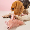 Schweinchen-Plüschtier für Hunde