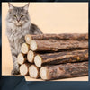 Ein flauschiger grauer Kater sitzt neben einem Stapel natürlicher Holzknochen.