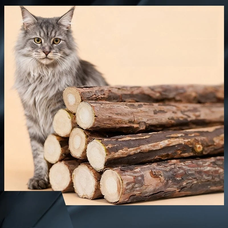 Ein flauschiger grauer Kater sitzt neben einem Stapel natürlicher Holzknochen.