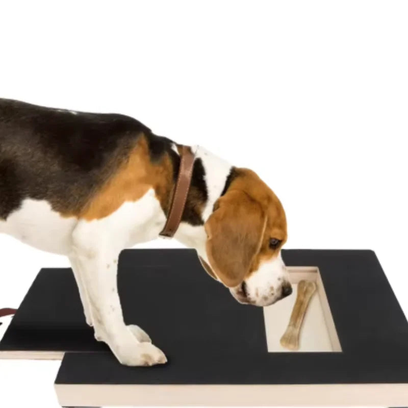 Wooden Pet Scratching Board with Pull-Out Treat Box