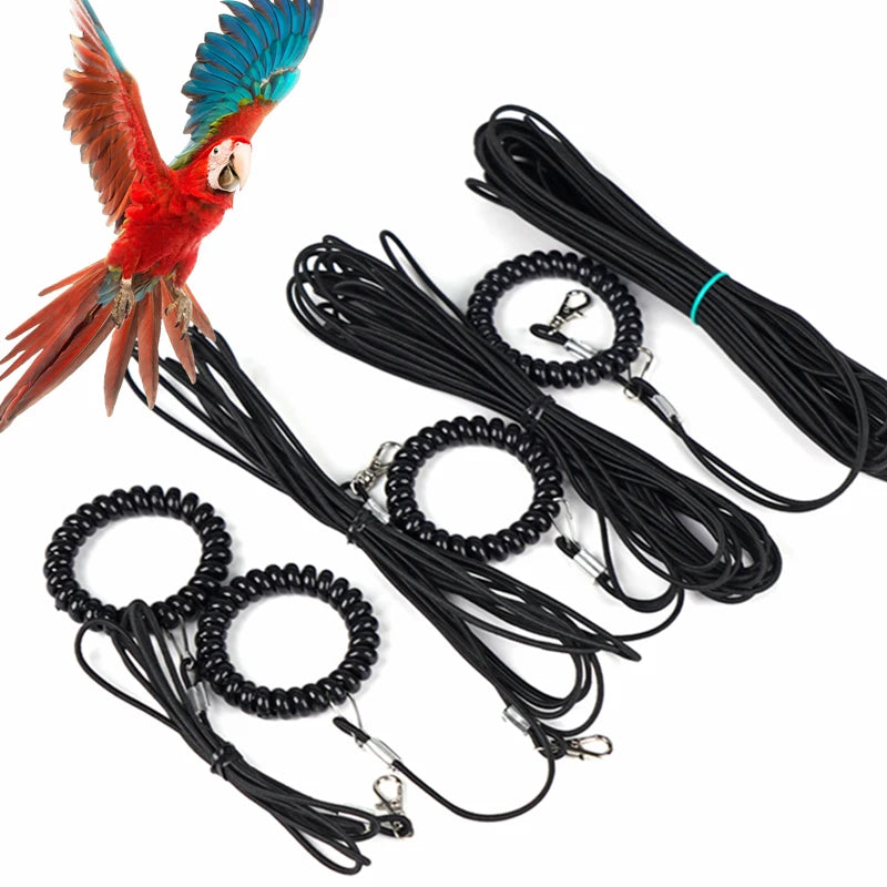 Bird Outdoor Training Harness Rope and Foot Chain