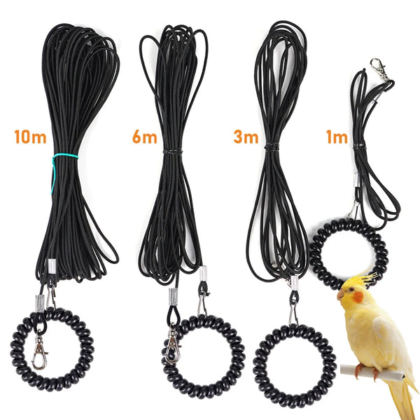 Black bird outdoor training harness with safety tether shown in various lengths and attached to a yellow bird.