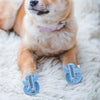 A light brown and white dog is lying on a white fluffy rug wearing blue breathable summer dog shoes.