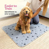 Eine Person hält einen Golden Retriever Welpe auf einem grauen wiederverwendbaren Hundekotpads zum Training.