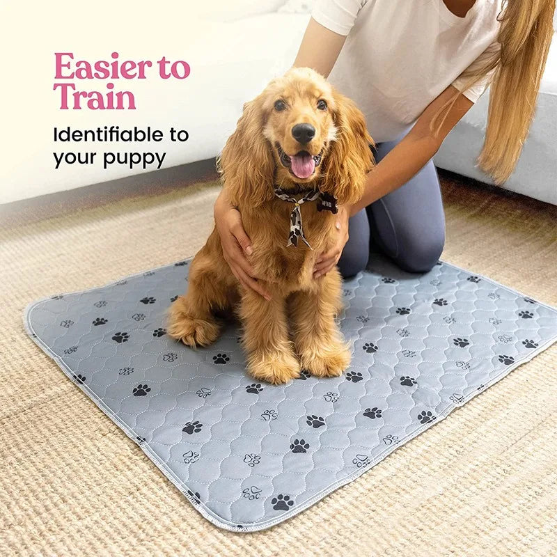 Eine Person hält einen Golden Retriever Welpe auf einem grauen wiederverwendbaren Hundekotpads zum Training.