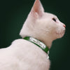 Personalisierte Leder-Halsband für Katzen mit graviertem Namen