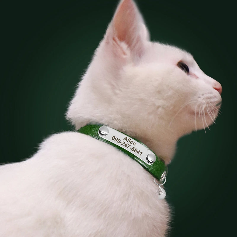 Personalisierte Leder-Halsband für Katzen mit graviertem Namen