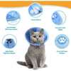 Graue Katze mit blauem, verstellbarem Halsband aus Schnallen und glatten Stoffkanten.