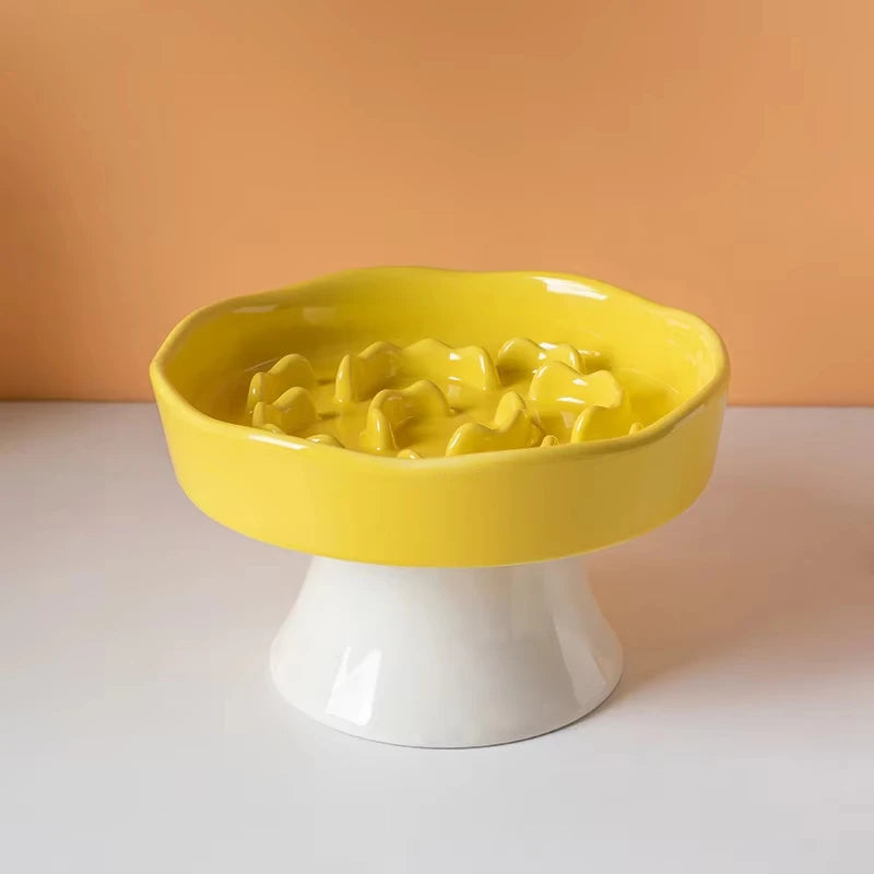 Ceramic Elevated Cat Bowl with Slow Feeder Design