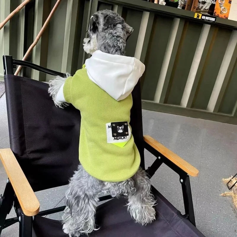 A gray dog wearing a lime green hooded coat and white hood sitting on a black chair.