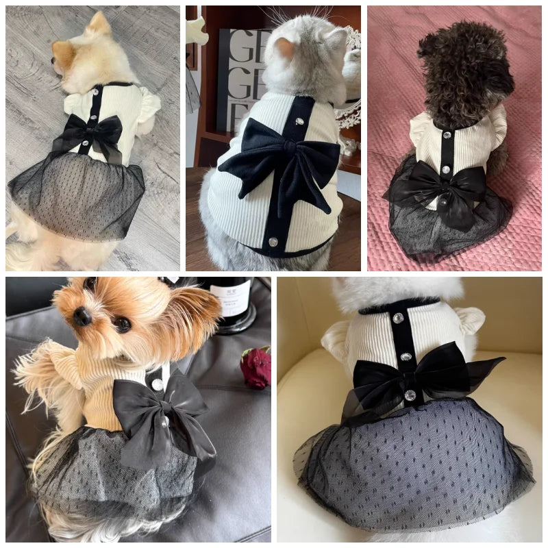 Elegant Lace Bow Dog Dress for Small Breeds