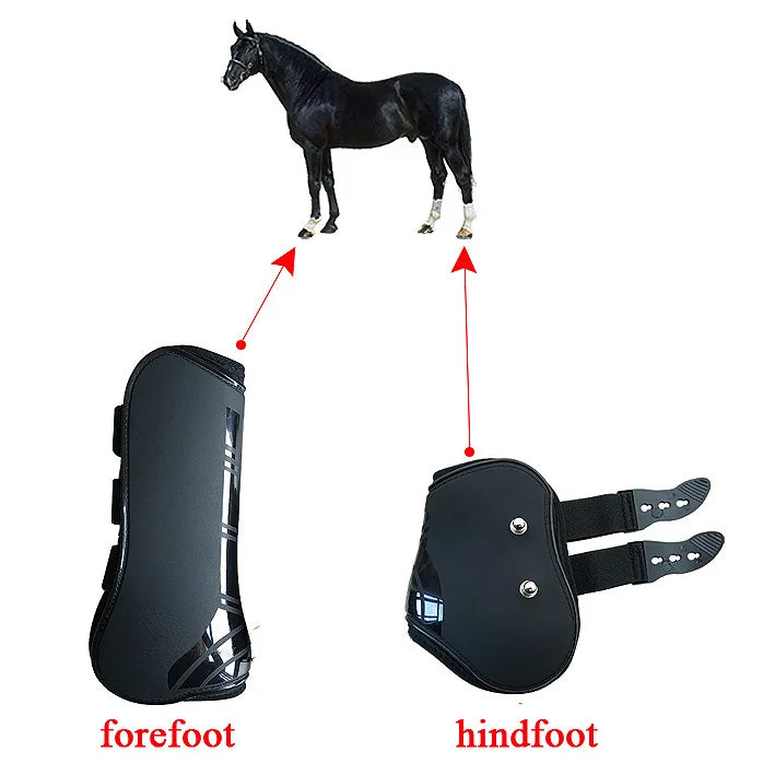 Protège-jambes équinés ajustables pour chevaux
