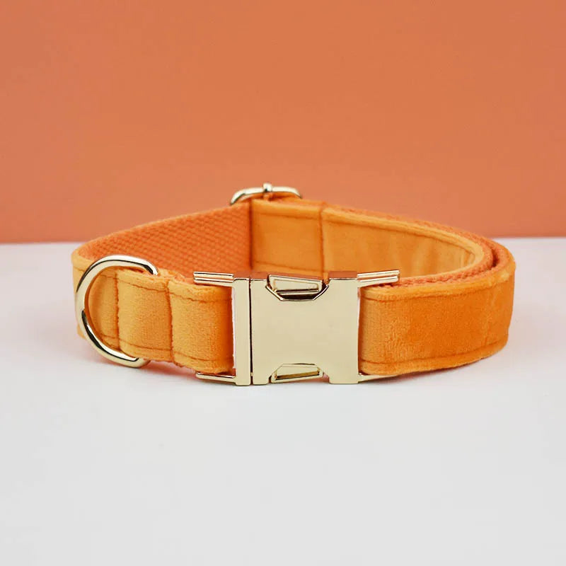 Set de collar y arnés para perro de terciopelo naranja con herrajes dorados.