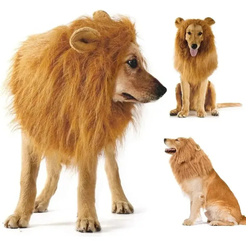 A realistic lion mane dog costume for a medium and large dog, featuring golden brown fur.