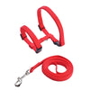 Adjustable Nylon Harness and Leash Set for Small Pets