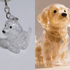 Transparent Pet Hair Keepsake Charm for Keys