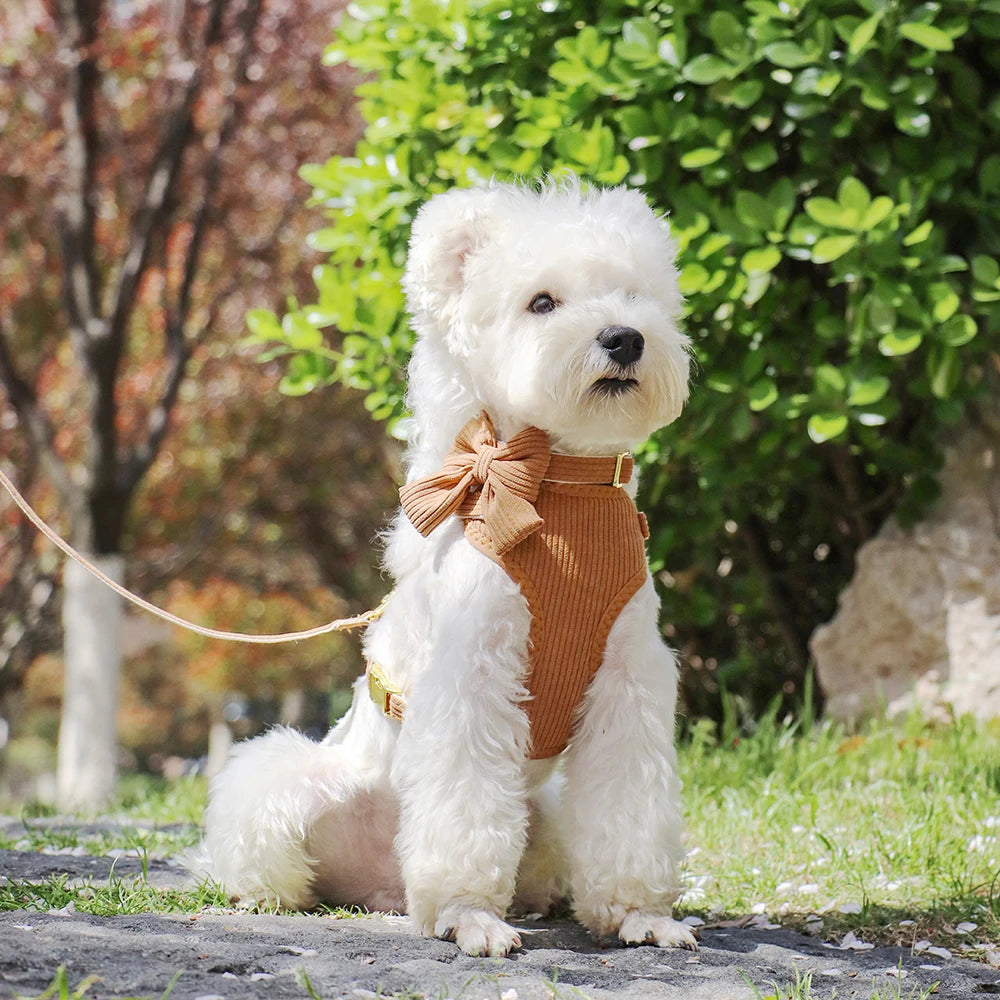 Bowknot Dog Harness, Collar & Leash Set