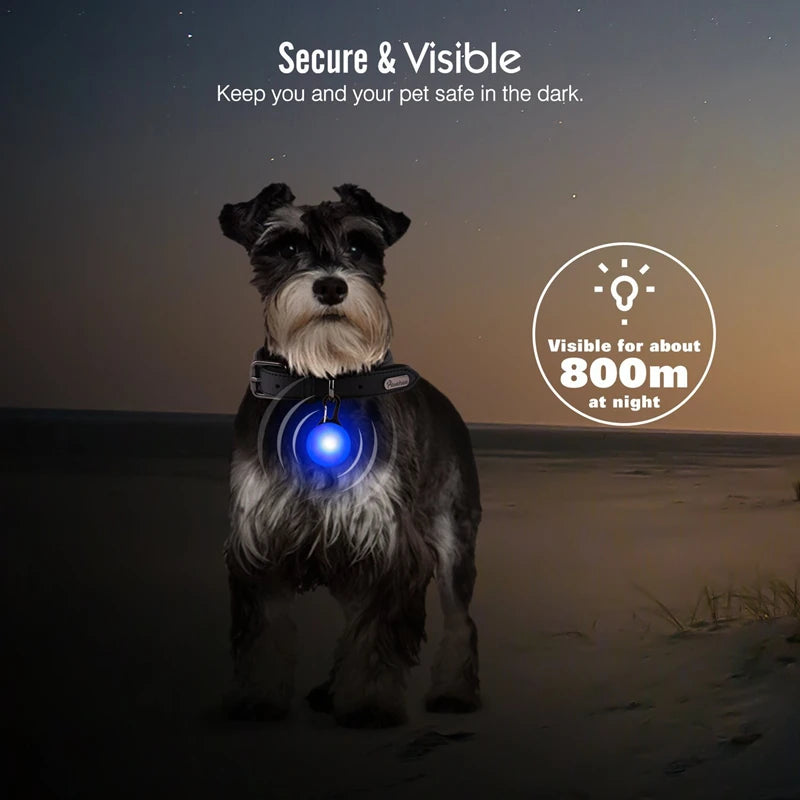 USB Charging Glowing Dog Collar with Pendant