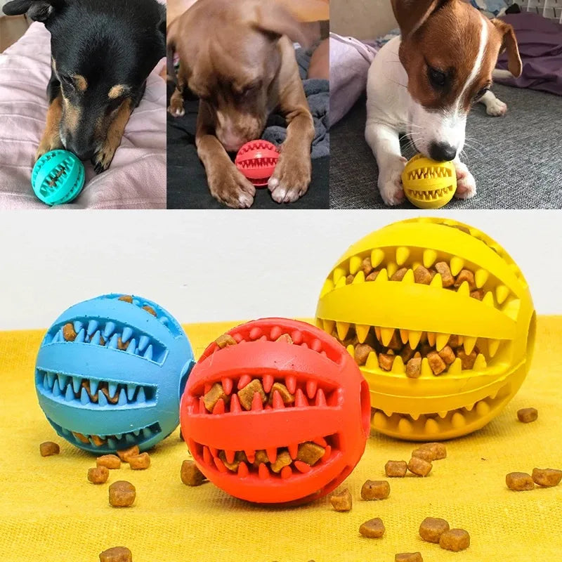 Colección de pelotas antiestrés interactivas y juguetes para morder para perros en varios colores y texturas.
