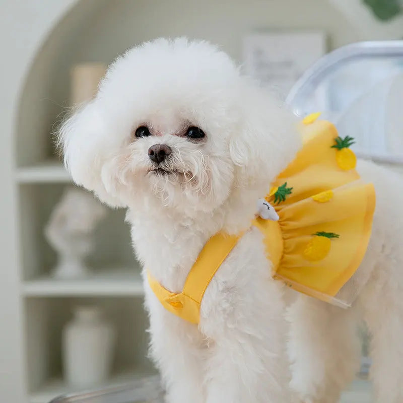 Princess Mesh Dog Dress with Bow Lace Trim
