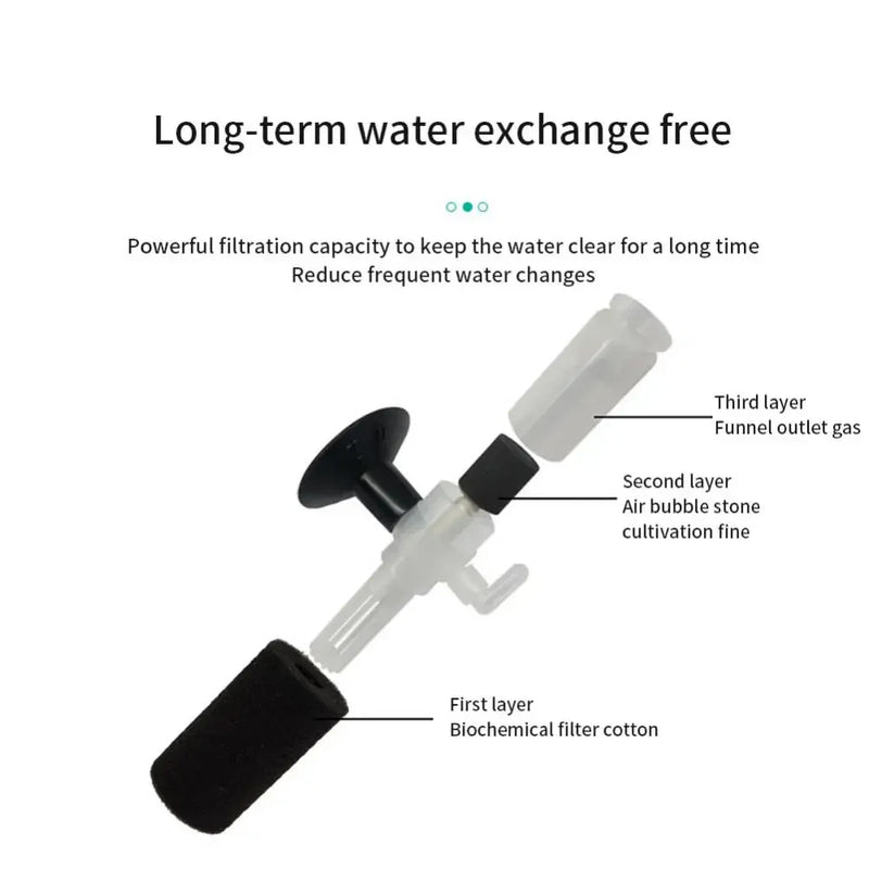 Filtre à éponge biologique compact pour aquarium