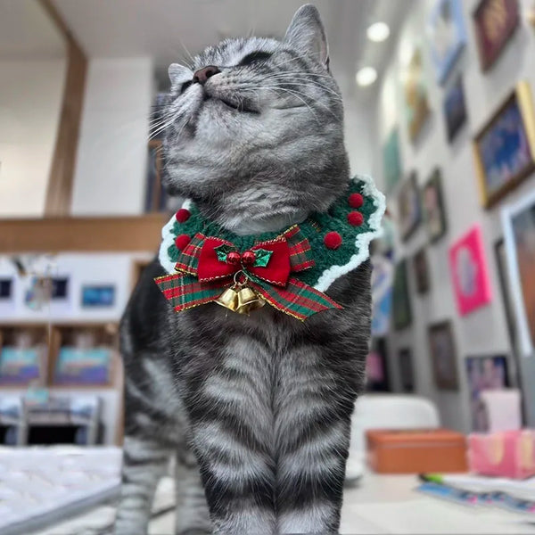 A gray tabby cat wearing a handcrafted red and green crochet bow tie collar.