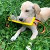 A light-colored puppy is holding a yellow and striped jute tug toy in green grass.