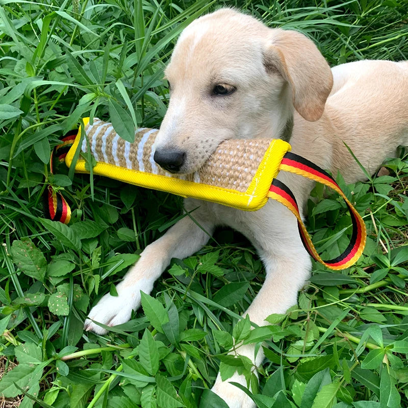 A light-colored puppy is holding a yellow and striped jute tug toy in green grass.
