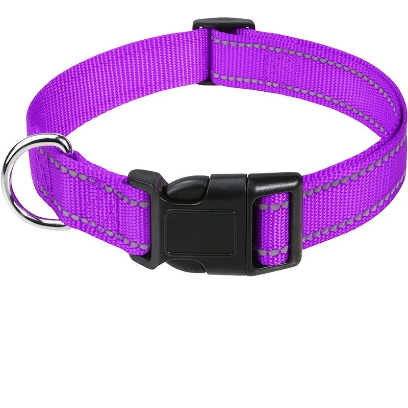 Decorative Nylon Dog Collar with Buckle Closure