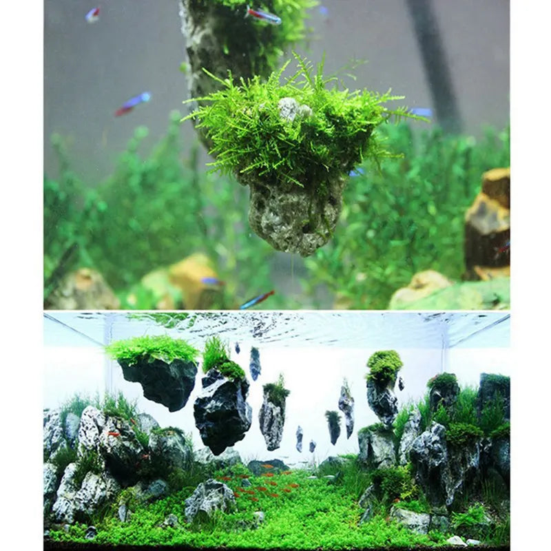 A transparent nylon moss line product showing various green mosses growing on rocks in an aquarium setting.
