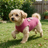 Floral Rose Waffle Vest for Small Dogs — Breathable Summer Top