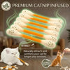 Giant Cotton Swab Catnip Toy for Interactive Play and Dental Health