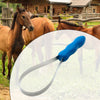 A blue grooming comb is shown attached to a horse's bridle, used for grooming.
