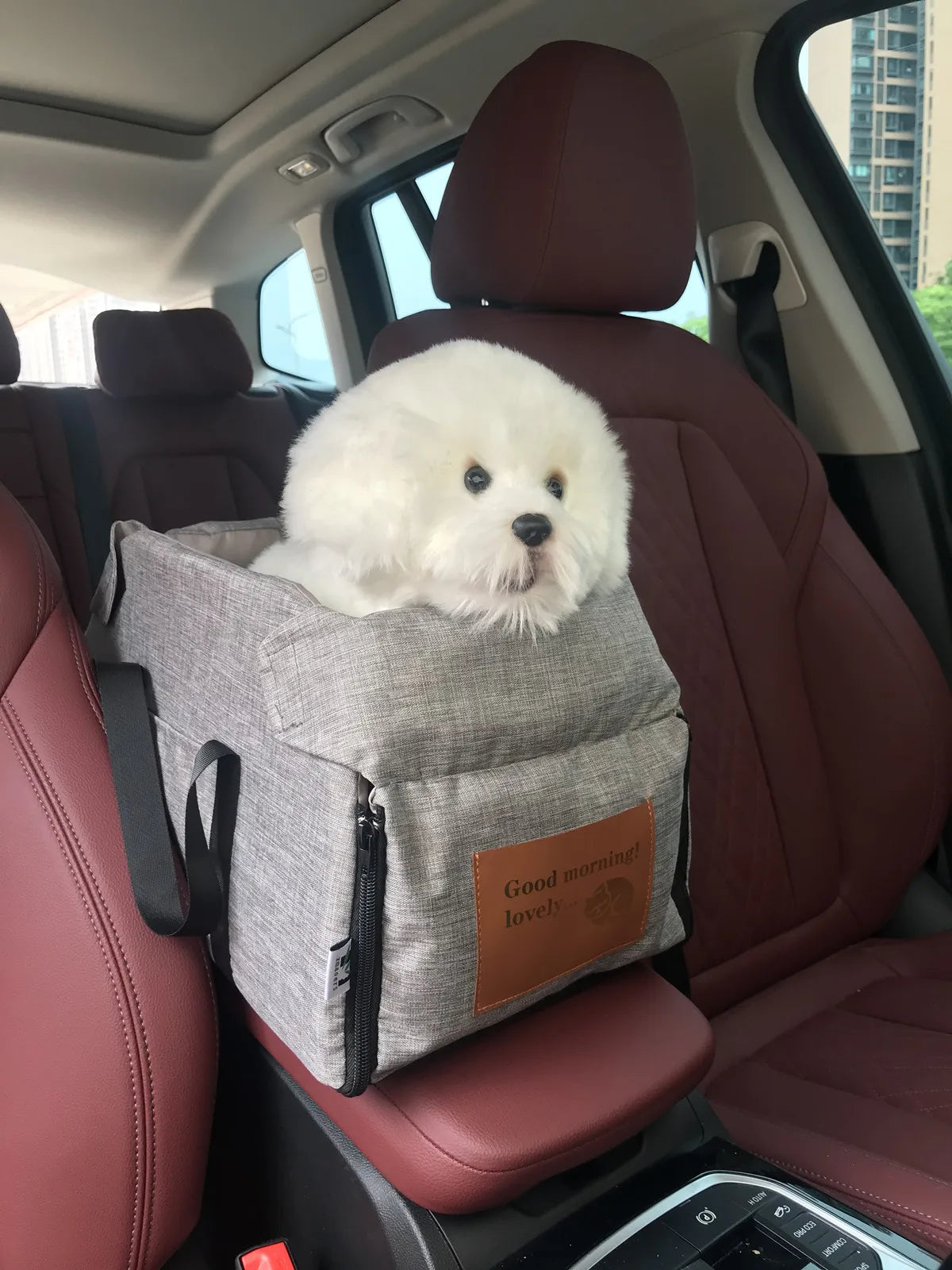 Ein kleiner weißer Hund ruht in einem grauen, tragbaren Autositze-Bett im Auto.