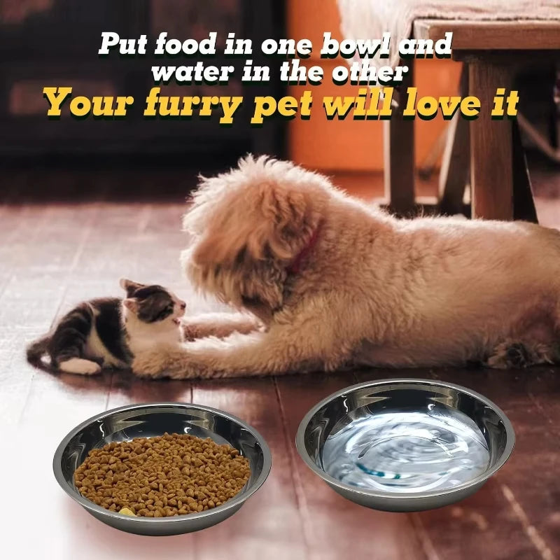 A fluffy pet is positioned next to two stainless steel bowls, demonstrating a food and water bowl set for cats.