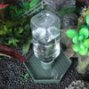 Ein durchsichtiger Glas-Wasserdispensierbehälter steht auf einem grünen Tablett inmitten von Moos und Steinen.