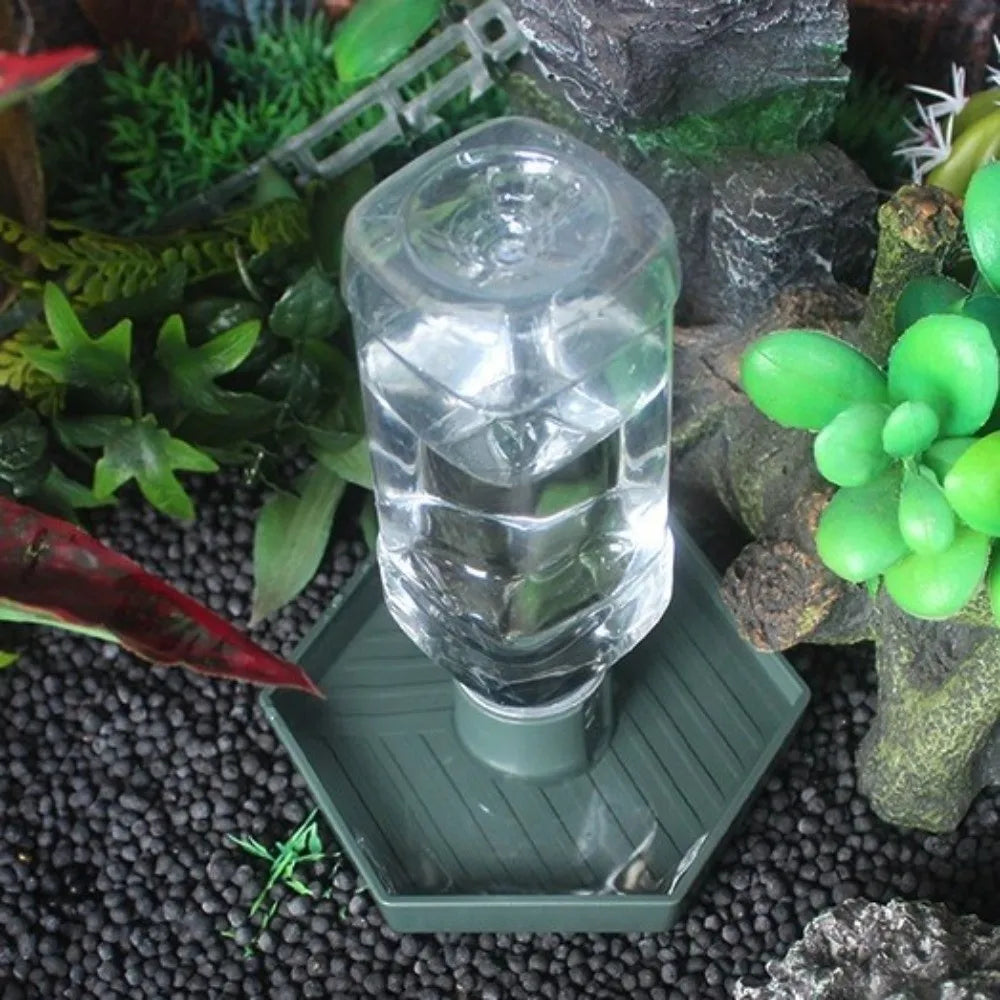 Ein durchsichtiger Glas-Wasserdispensierbehälter steht auf einem grünen Tablett inmitten von Moos und Steinen.