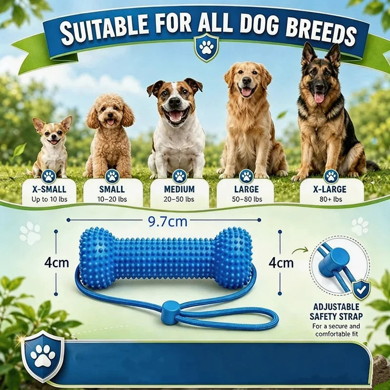 A blue durable TPR dog chew toy with a strap is shown next to various dog breeds and size categories.