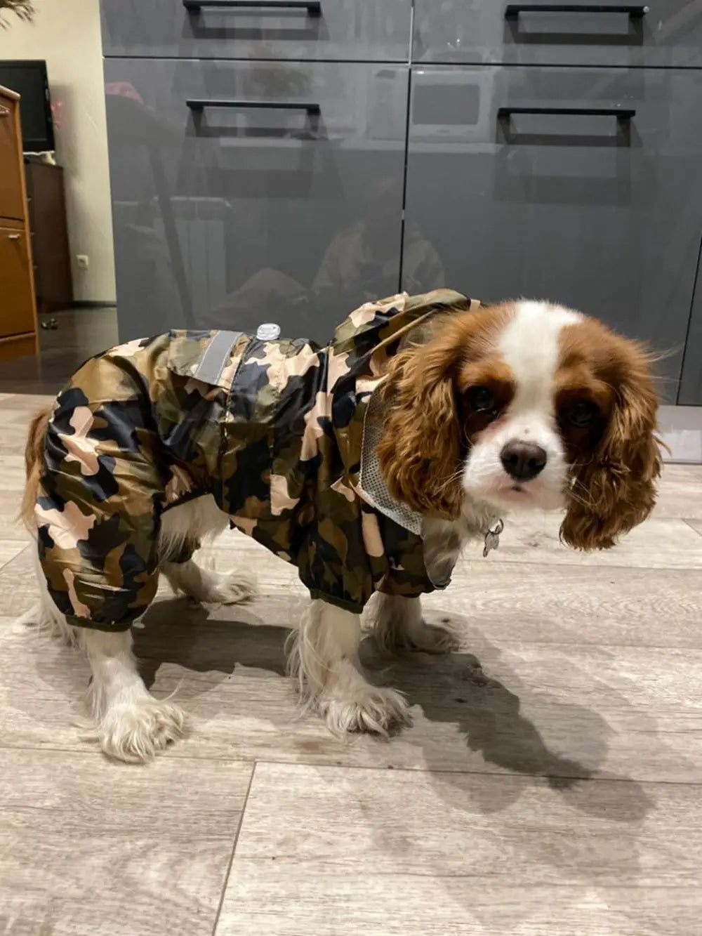 Adjustable Waterproof Dog Raincoat with Reflective Strap