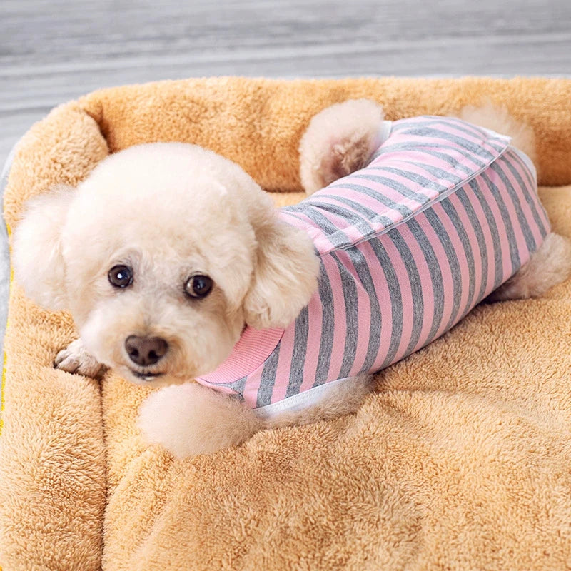 Striped Cotton Dog Recovery Suit for Post-Surgery Protection