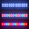 Lampe LED à clipser pour aquarium, fine, idéale pour la croissance des plantes