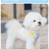 Striped Color-Block Dog Harness with Matching Leash