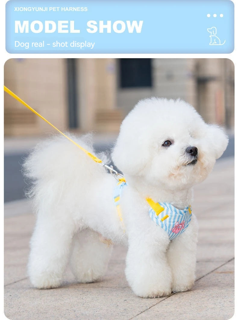 Striped Color-Block Dog Harness with Matching Leash
