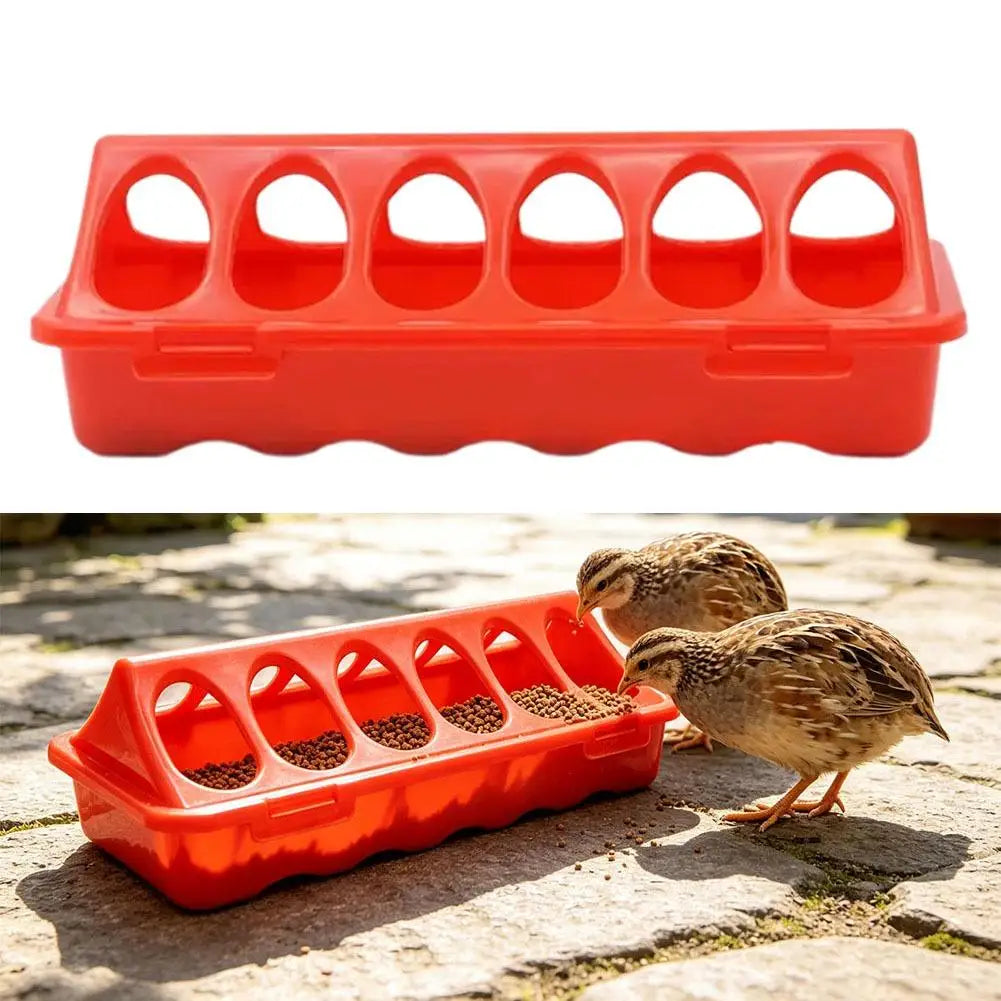 Red double-sided 12-hole poultry feeder being used by a quail.