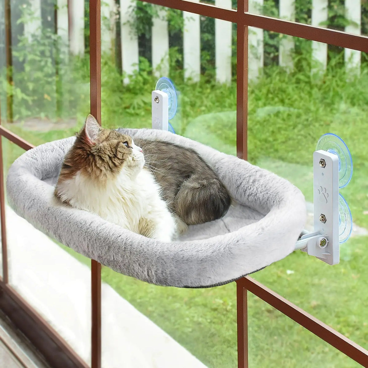 Eine graue Katze entspannt sich in einer Fenster-Hängematte mit Saugnapf-Anhängern.