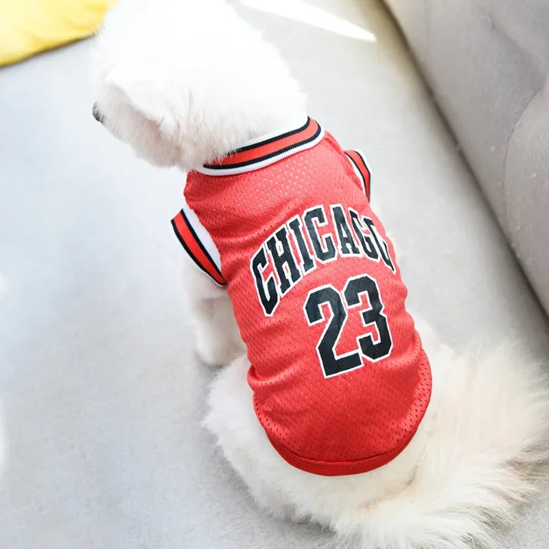A white dog wearing a red basketball-themed vest with the word Chicago and the number 23.